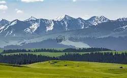 新疆男篮士气爆棚，美网季后赛遇上纽约尼克斯，目标明确直指晋级(汪顺200米混合泳比赛亮点视频)